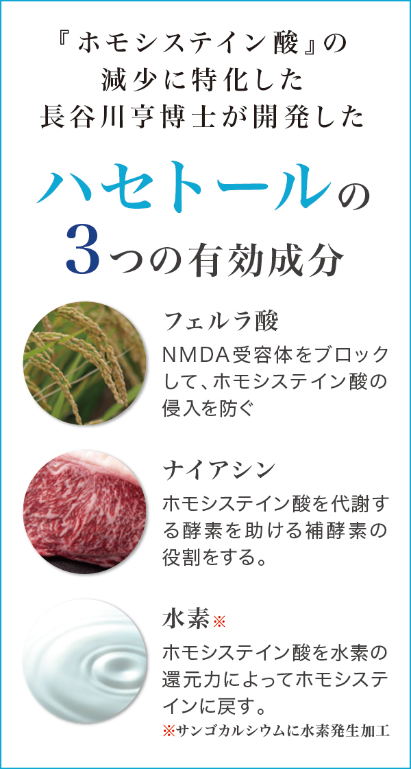 長谷川研究所株式会社 / ハセトール【特別提供品】