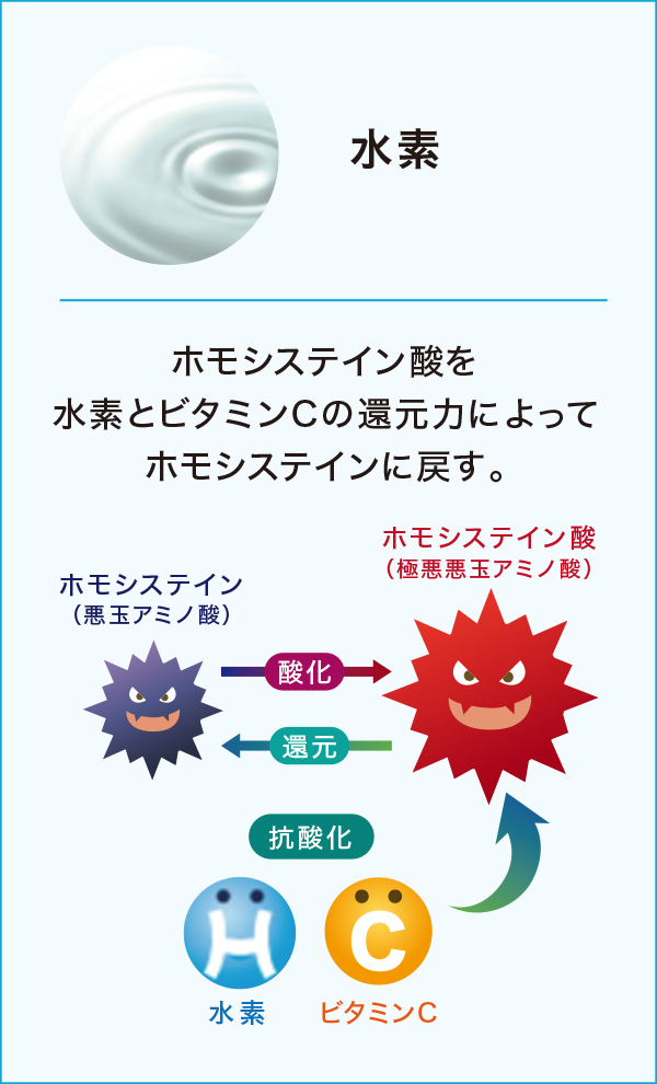 長谷川研究所株式会社 / ハセトール【特別提供品】