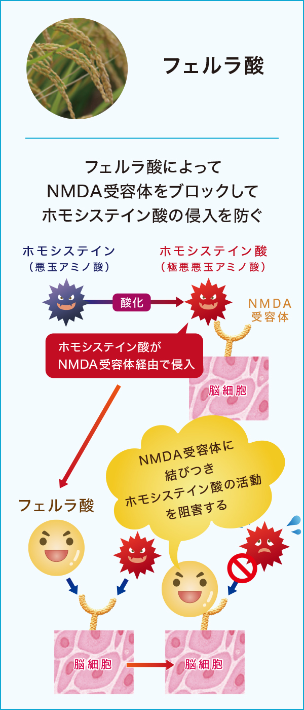 長谷川研究所株式会社 / ハセトール【特別提供品】